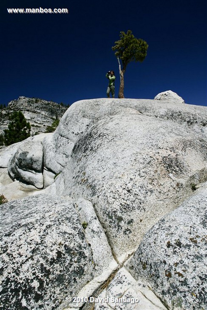 Yosemite 
Yosemite National Park EEUU 
California 