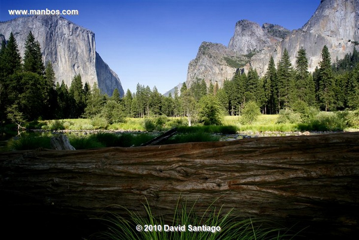 Yosemite 
Yosemite National Park el Capitan EEUU 
California 