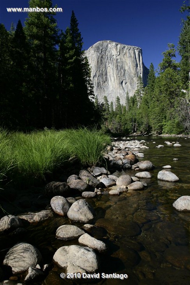 Yosemite 
Yosemite National Park el Capitan EEUU 
California 