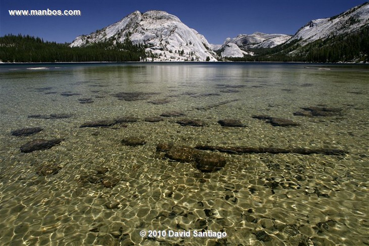 Yosemite 
Yosemite National Park Half Dome EEUU 
California 