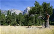 Yosemite , Yosemite , Estados Unidos 