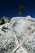 Yosemite , Yosemite , Estados Unidos 