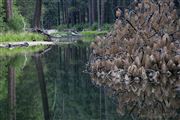 Yosemite , Yosemite , Estados Unidos 