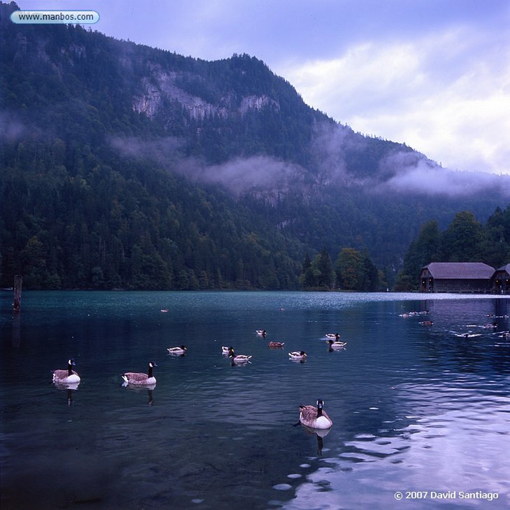 Lago Konigssee
Lago Konigssee Baviera
Baviera