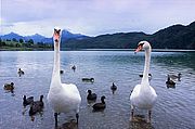 Lago Weissensee, Lago Weissensee, Alemania