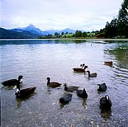 Lago Weissensee, Lago Weissensee, Alemania