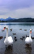 Lago Weissensee, Lago Weissensee, Alemania