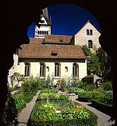 Rheinfall, Rheinfall, Alemania