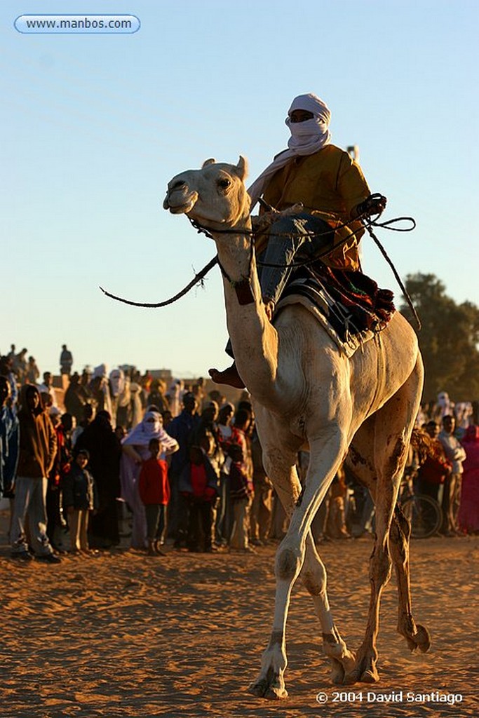 Tamanrasset
Carrera de Camellos en el Festival de Turismo Sahariano de Tamanrasset - Argelia
Argelia