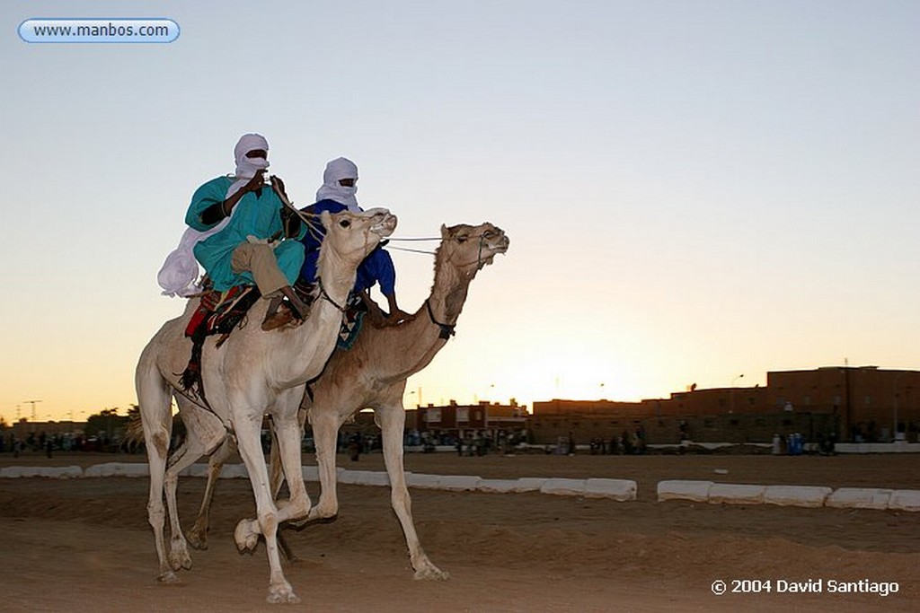 Tamanrasset
Carrera de Camellos en el Festival de Turismo Sahariano de Tamanrasset - Argelia
Argelia