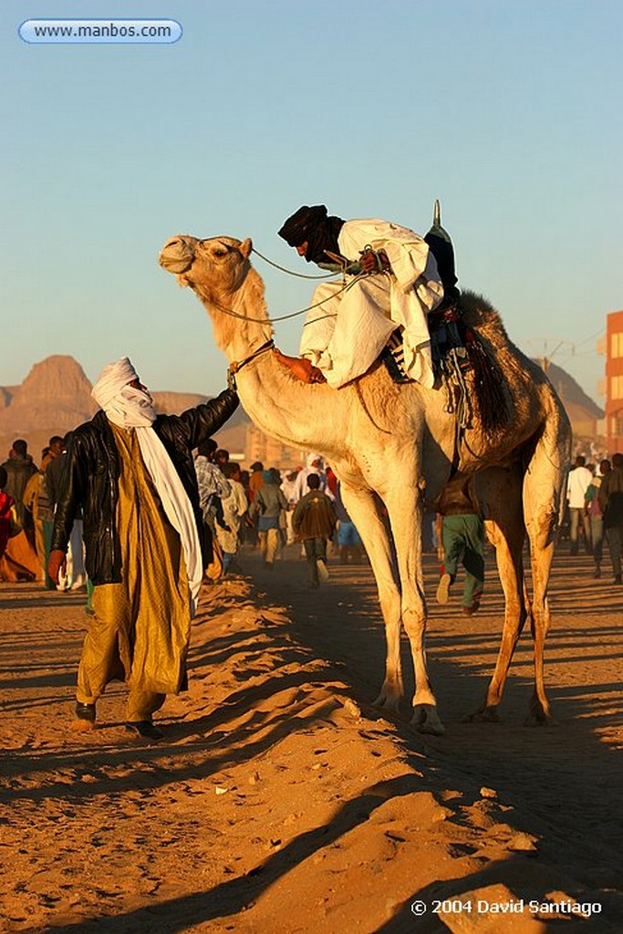 Tamanrasset
Carrera de Camellos en el Festival de Turismo Sahariano de Tamanrasset - Argelia
Argelia