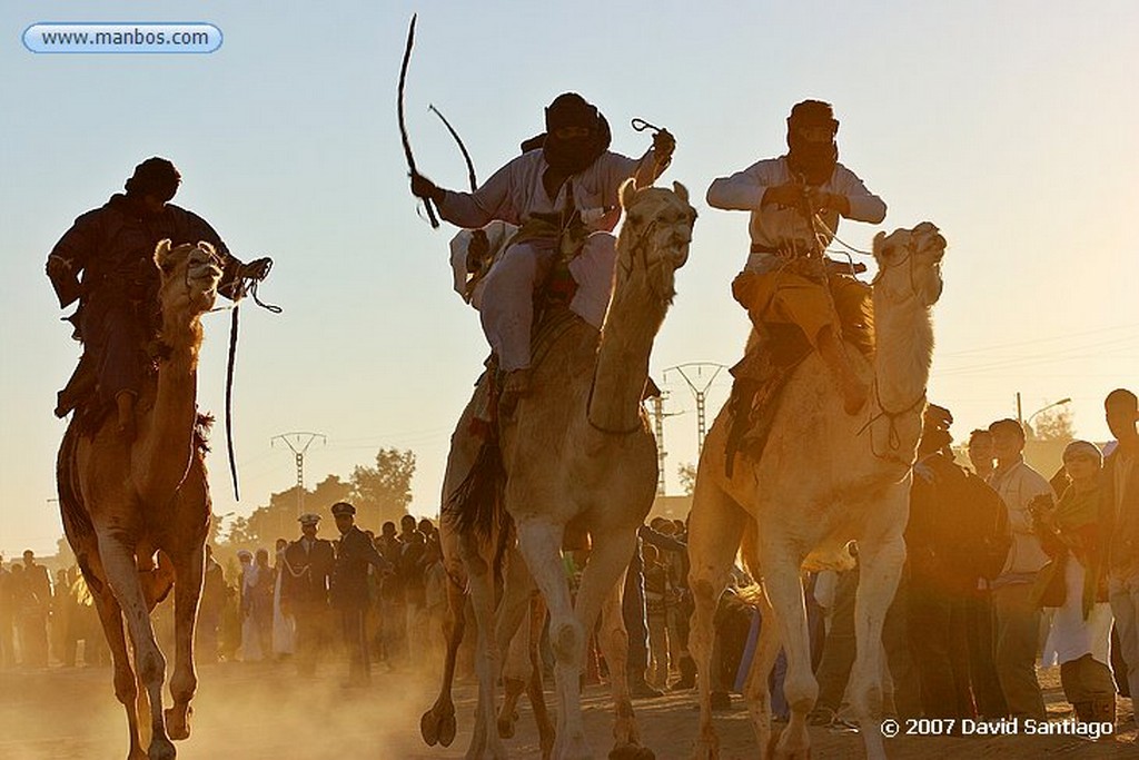 Tamanrasset
Carrera de Camellos en el Festival de Turismo Sahariano de Tamanrasset - Argelia
Argelia