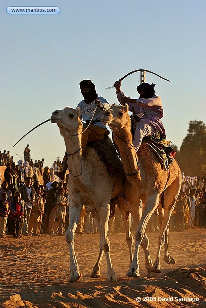 Tamanrasset
Carrera de Camellos en el Festival de Turismo Sahariano de Tamanrasset - Argelia
Argelia