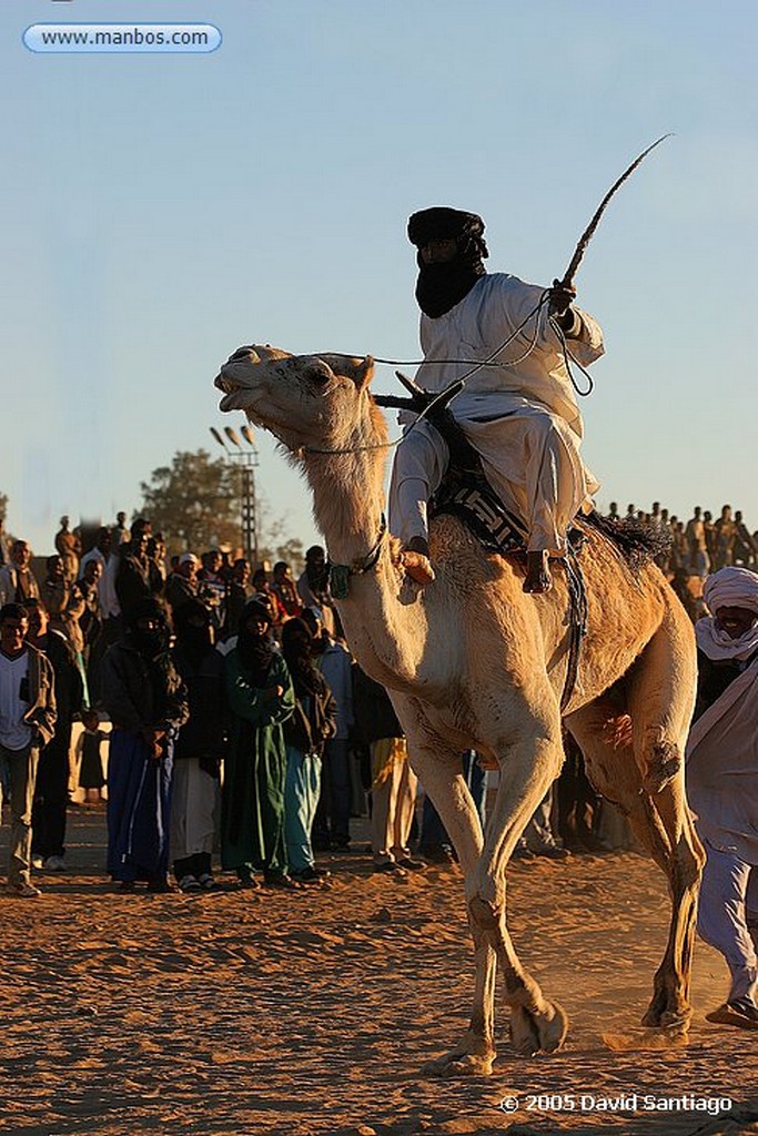 Tamanrasset
Carrera de Camellos en el Festival de Turismo Sahariano de Tamanrasset
Argelia