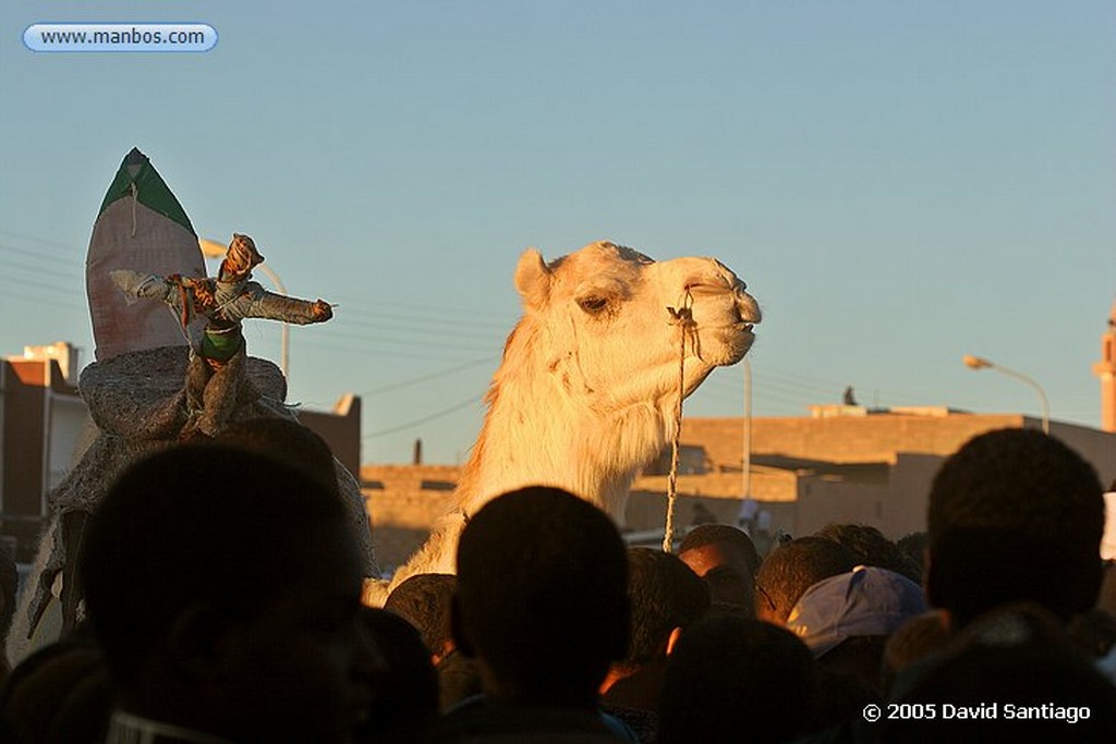 Tamanrasset
Carrera de Camellos en el Festival de Turismo Sahariano de Tamanrasset
Argelia