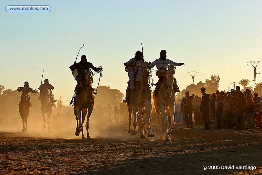 Tamanrasset
Carrera de Camellos en el Festival de Turismo Sahariano de Tamanrasset
Argelia