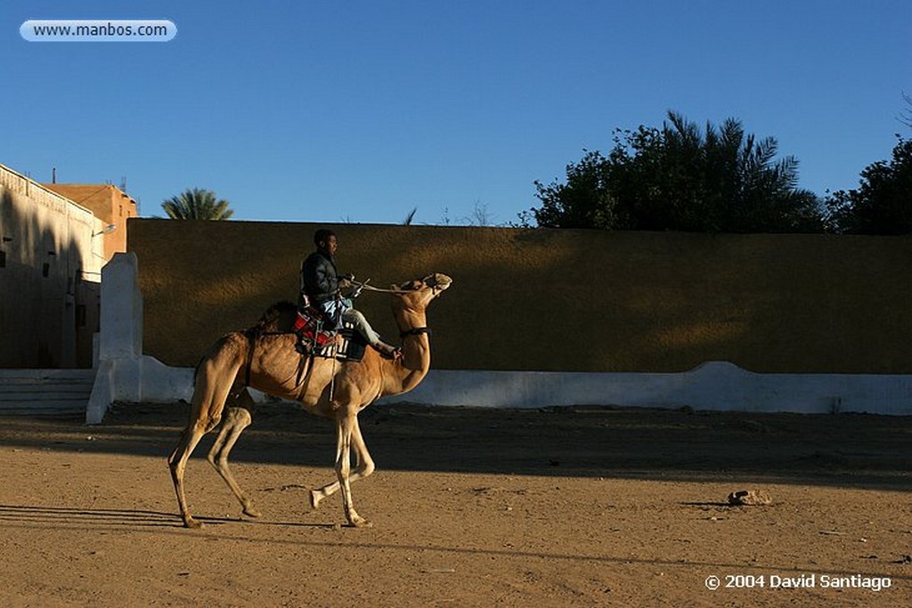 Tamanrasset
Carrera de Camellos en el Festival de Turismo Sahariano de Tamanrasset
Argelia