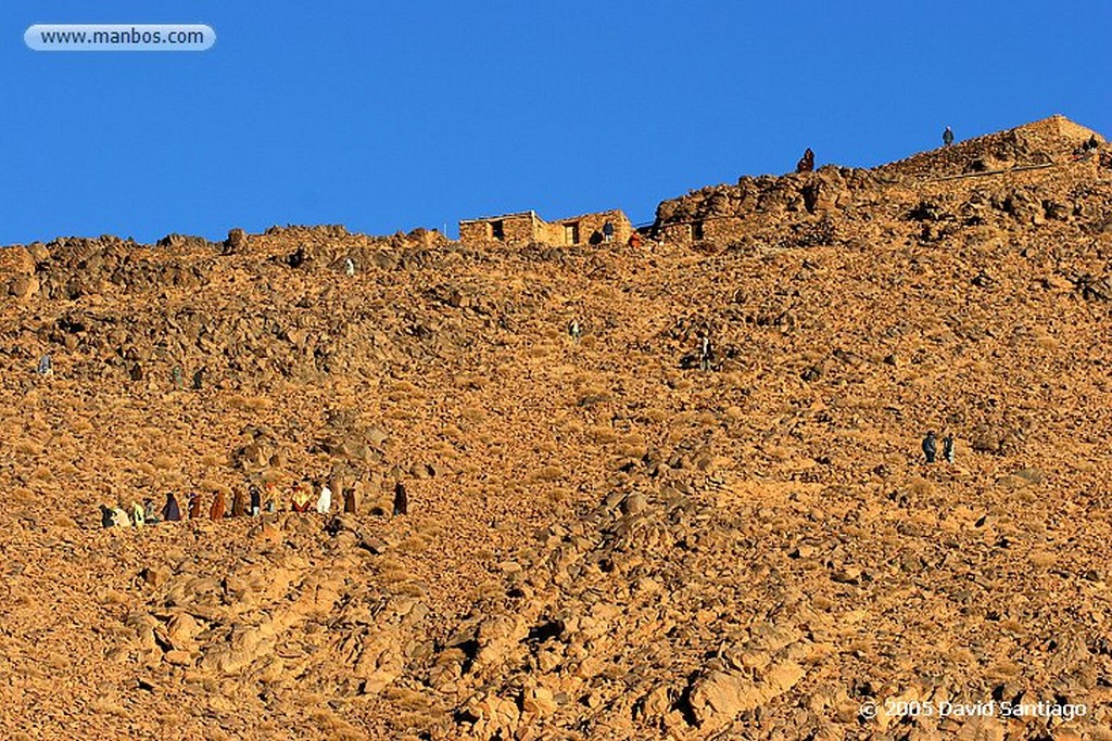 Tamanrasset
Detalle de Camello en  Tamanrasset - Argelia
Argelia