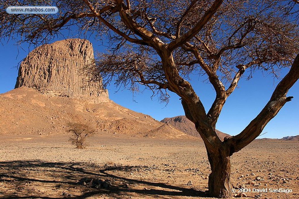 Tamanrasset
Mujeres Tuareg en Tamanrasset - Argelia
Argelia