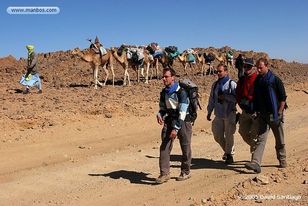 Tamanrasset
Tuareg de Tamanrasset - Argelia
Argelia