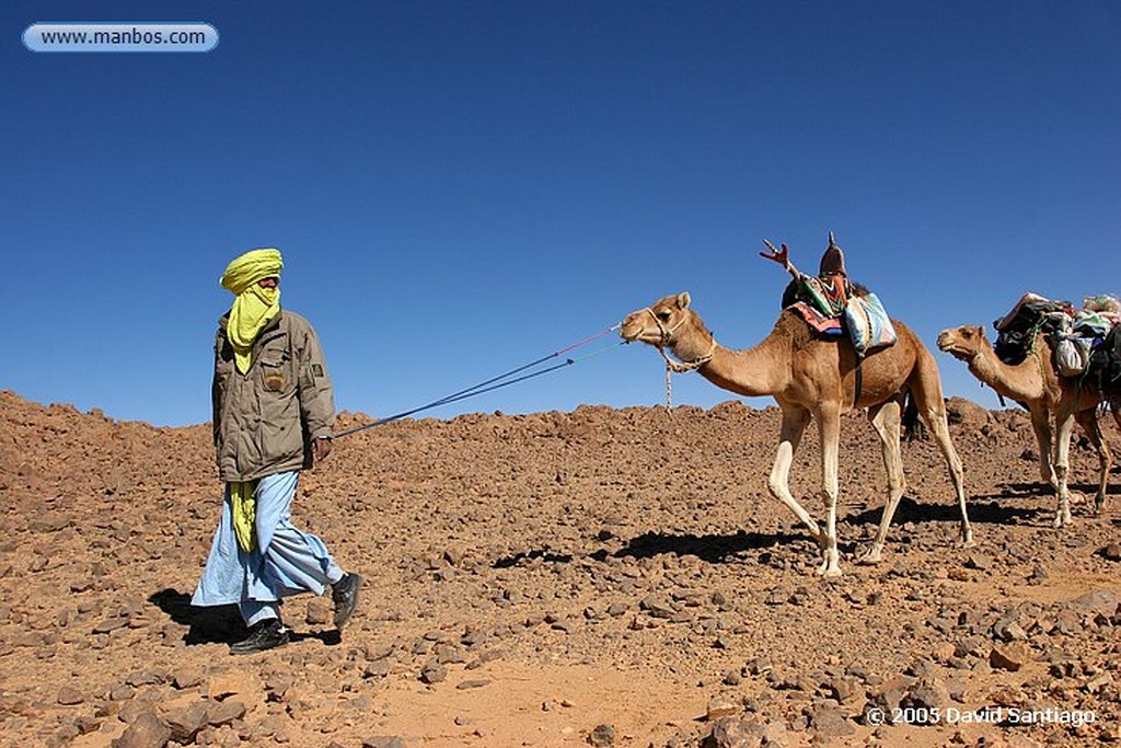 Parque Nacional del Ahaggar
Parque Nacional del Ahaggar - Argelia
Argelia