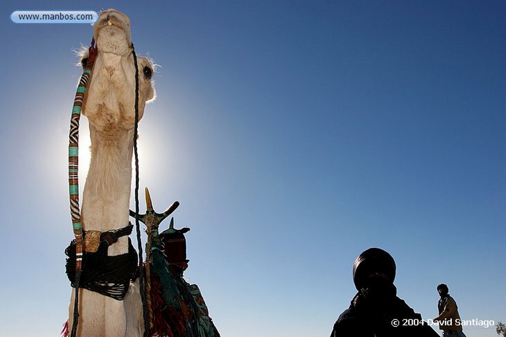 Tamanrasset
Tuareg de Tamanrasset - Argelia
Argelia