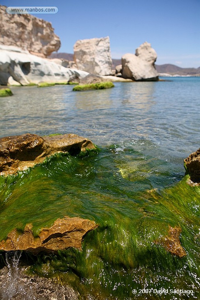 Cabo de Gata
EL EMBARCADERO, LOS ESCULLOS
Almeria