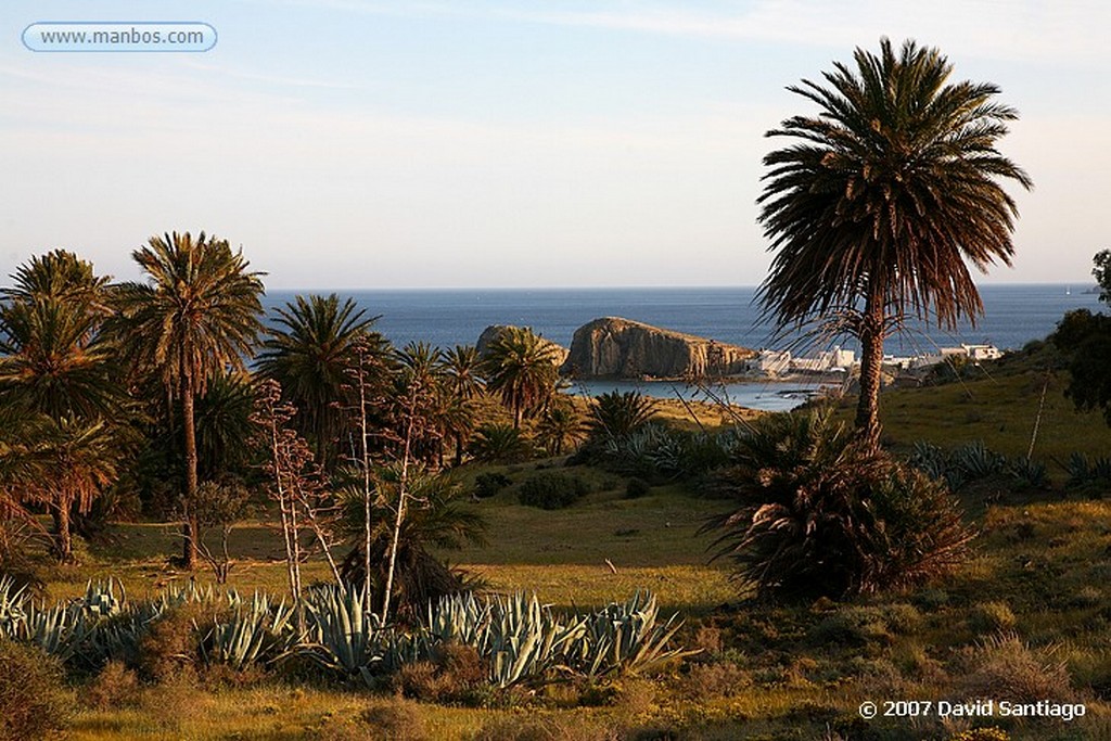 Cabo de Gata
CARTEL INFORMATIVO
Almeria