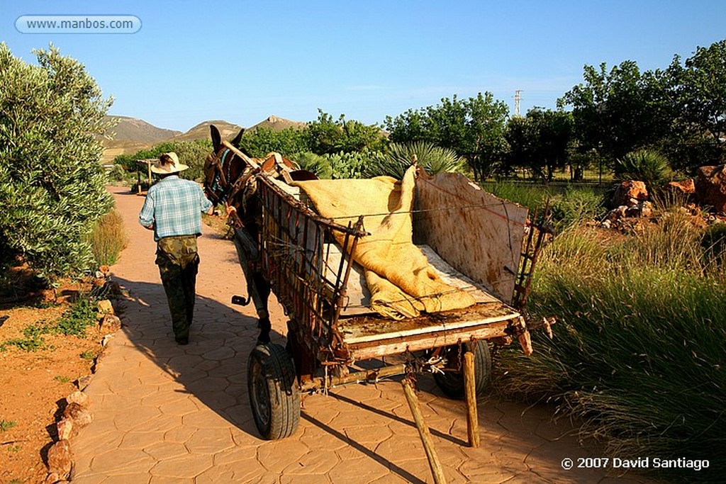 Cabo de Gata
JARDIN BOTANICO EN RODALQUILAR
Almeria