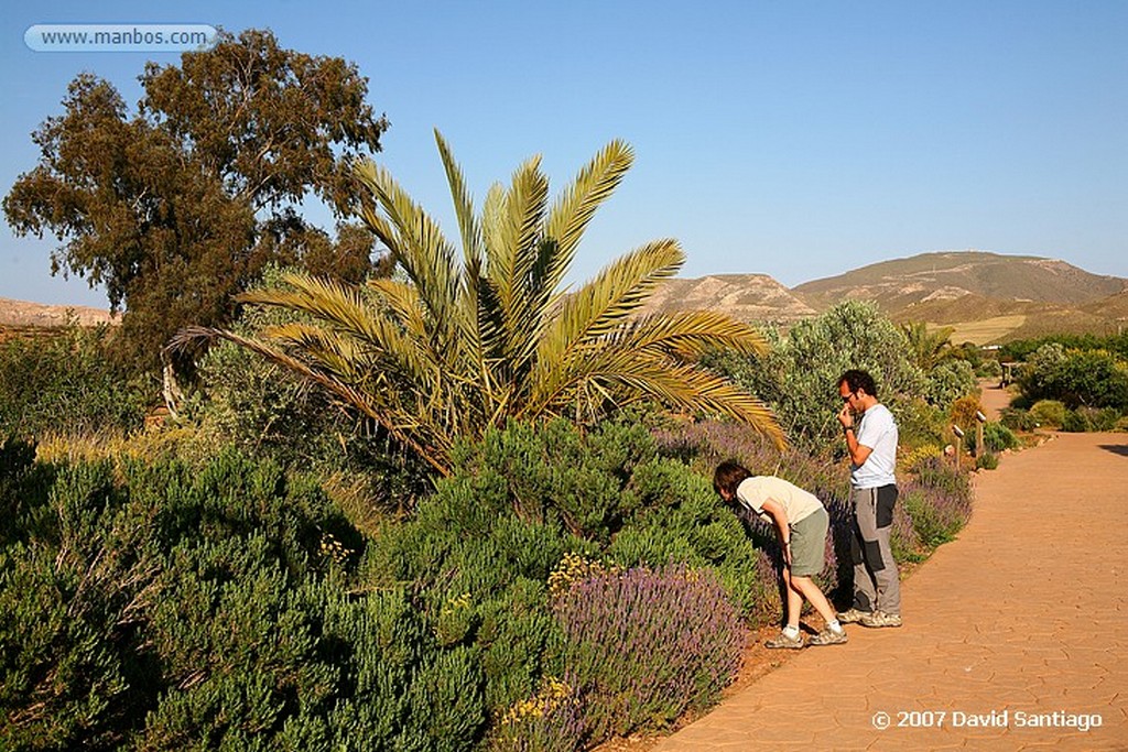 Cabo de Gata
JARDIN BOTANICO EN RODALQUILAR
Almeria