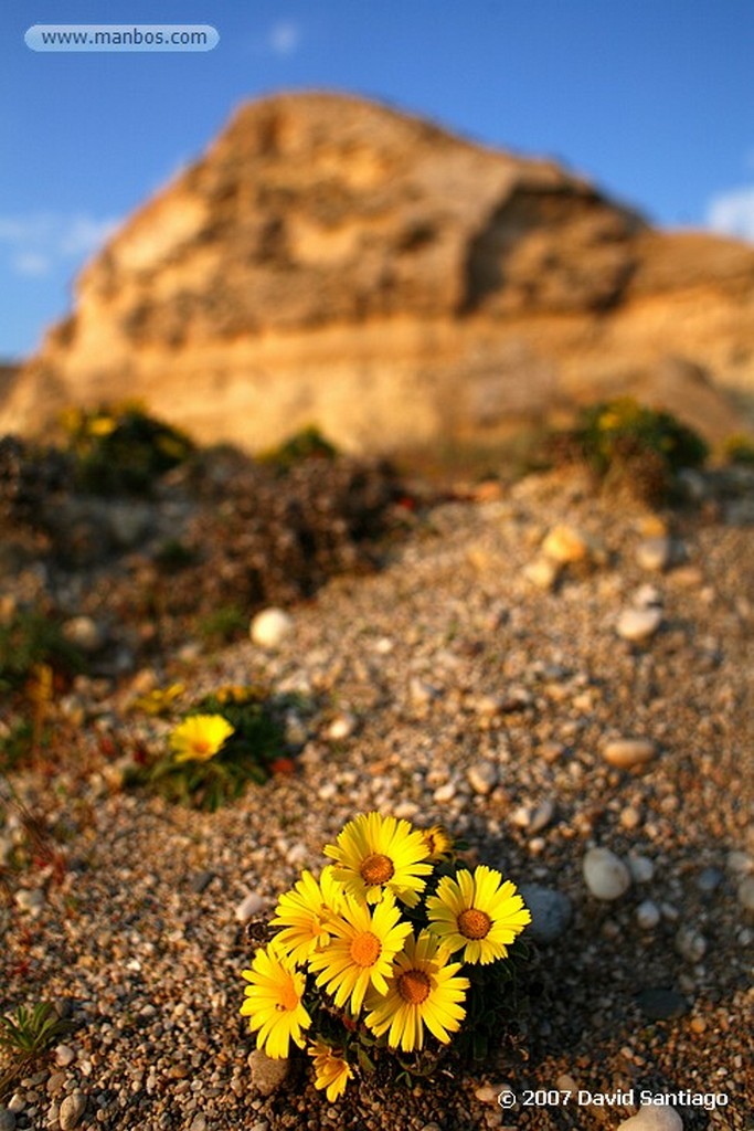 Cabo de Gata
CALA DEL CUERVO, LAS NEGRAS
Almeria