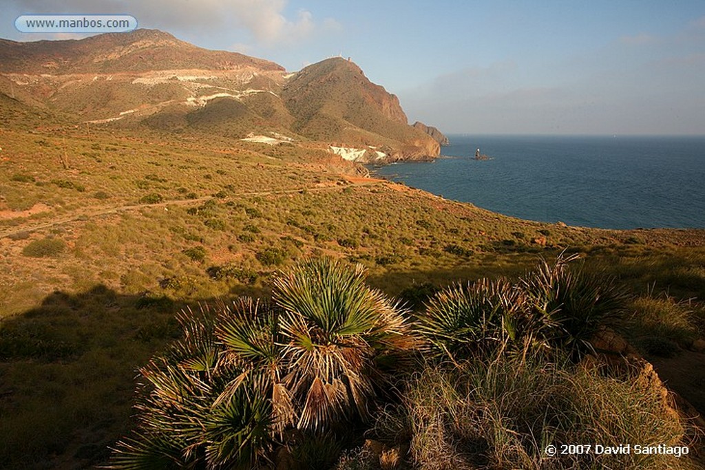 Cabo de Gata
BARCAS DE PESCADORES EN LA ALMADRABA DE MONTELEVA
Almeria