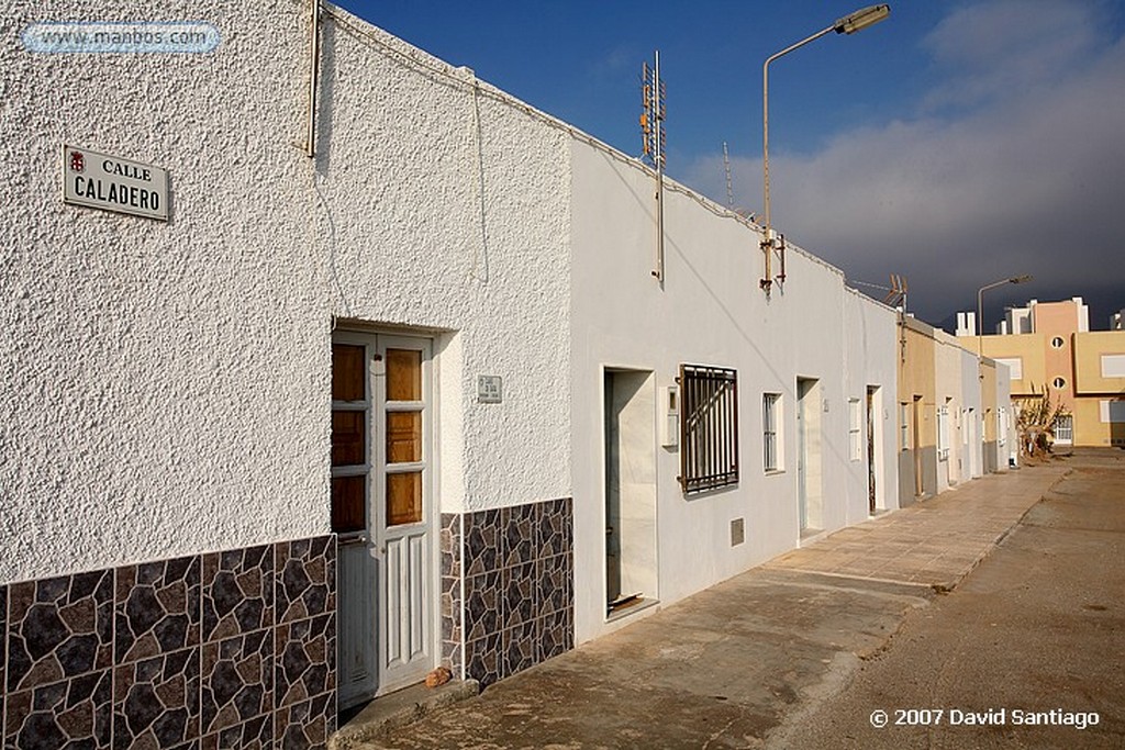 Cabo de Gata
Asphodelus
Almeria