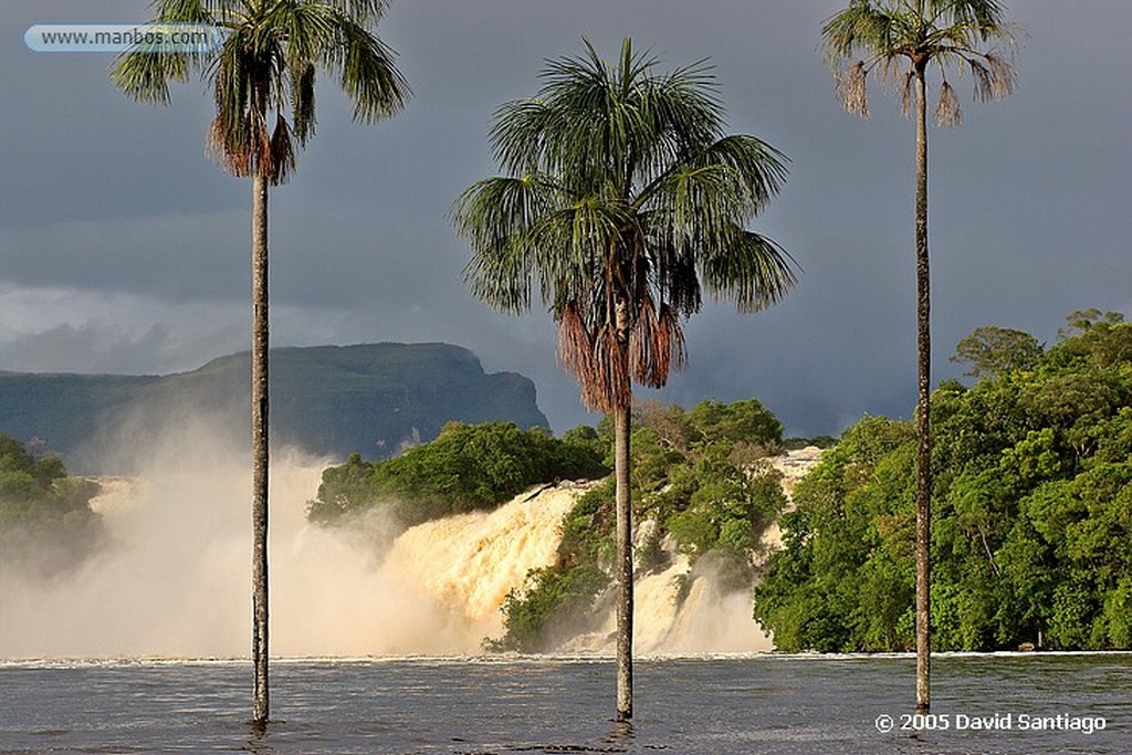 Parque Nacional Canaima
Laguna de Canaima
Bolivar