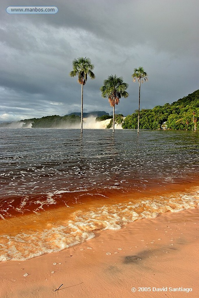 Parque Nacional Canaima
Laguna de Canaima
Bolivar