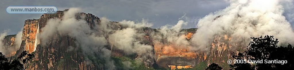 Parque Nacional Canaima
Mariposa en Tepui Roraima
Bolivar