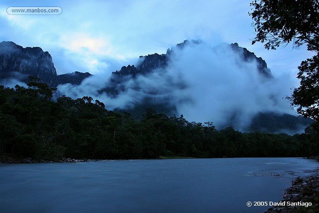 Parque Nacional Canaima
Gallinazo en el Auyan Tepui
Bolivar