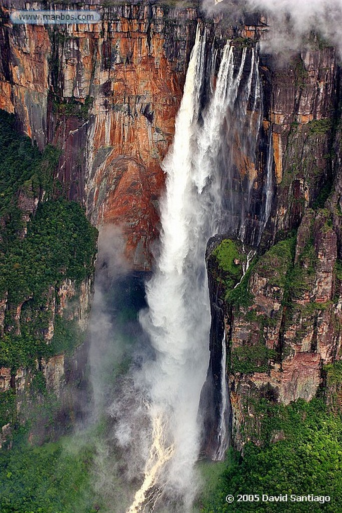 Parque Nacional Canaima
Flores en Tepui Roraima
Bolivar