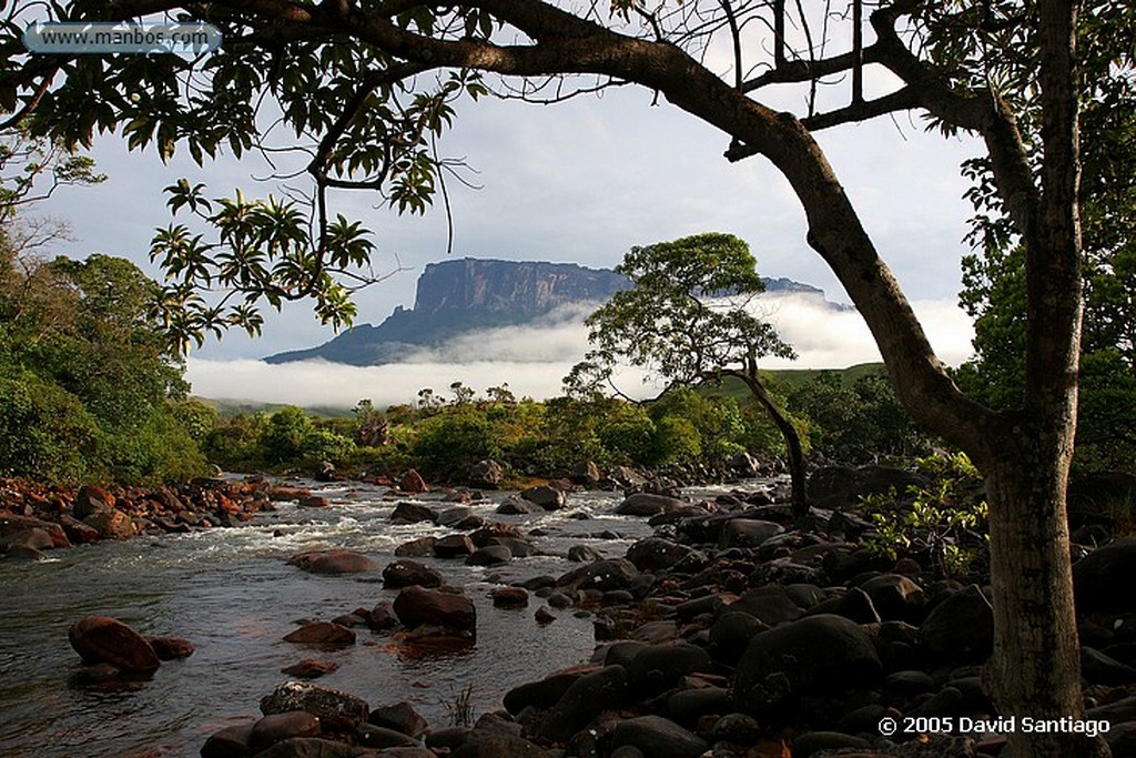 Parque Nacional Canaima
Nativo Pemon
Bolivar