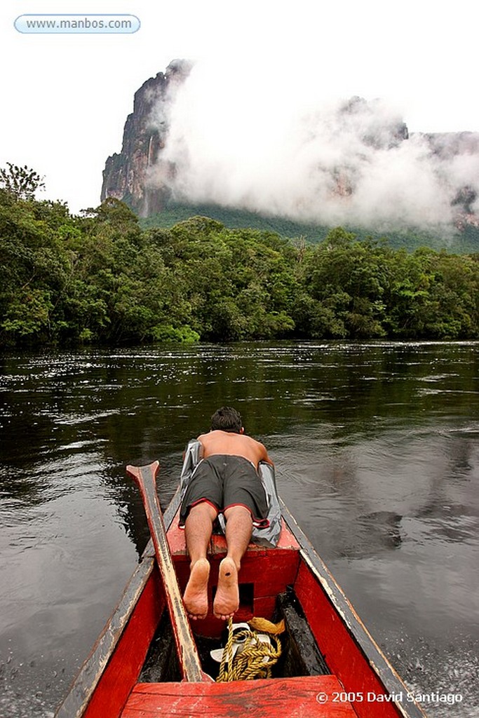 Parque Nacional Canaima
Curiaras, camino al Salto del Angel
Bolivar