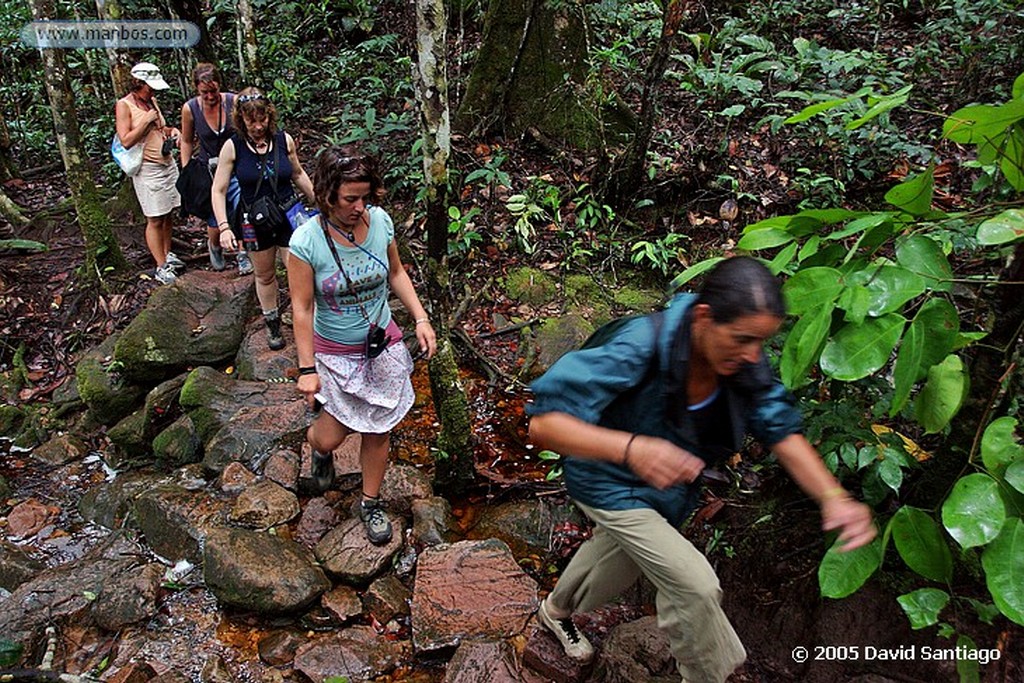 Parque Nacional Canaima
Subida a la base del Salto del Angel
Bolivar