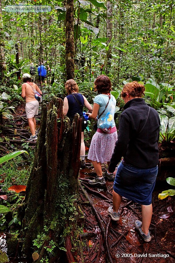 Parque Nacional Canaima
Subida a la base del Salto del Angel
Bolivar