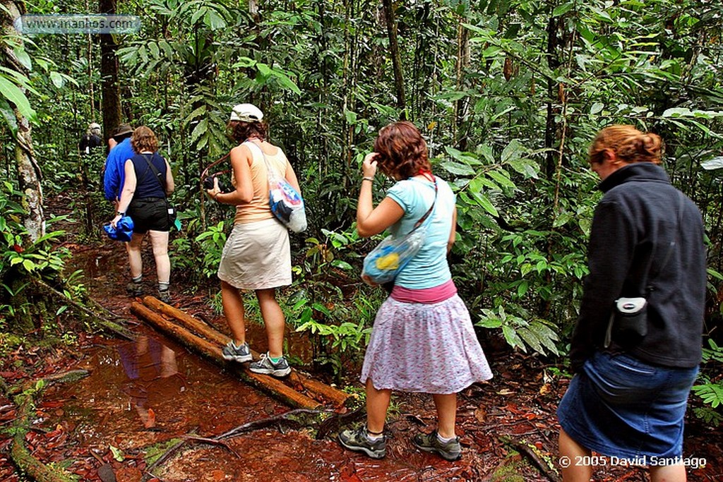 Parque Nacional Canaima
Subida a la base del Salto del Angel
Bolivar