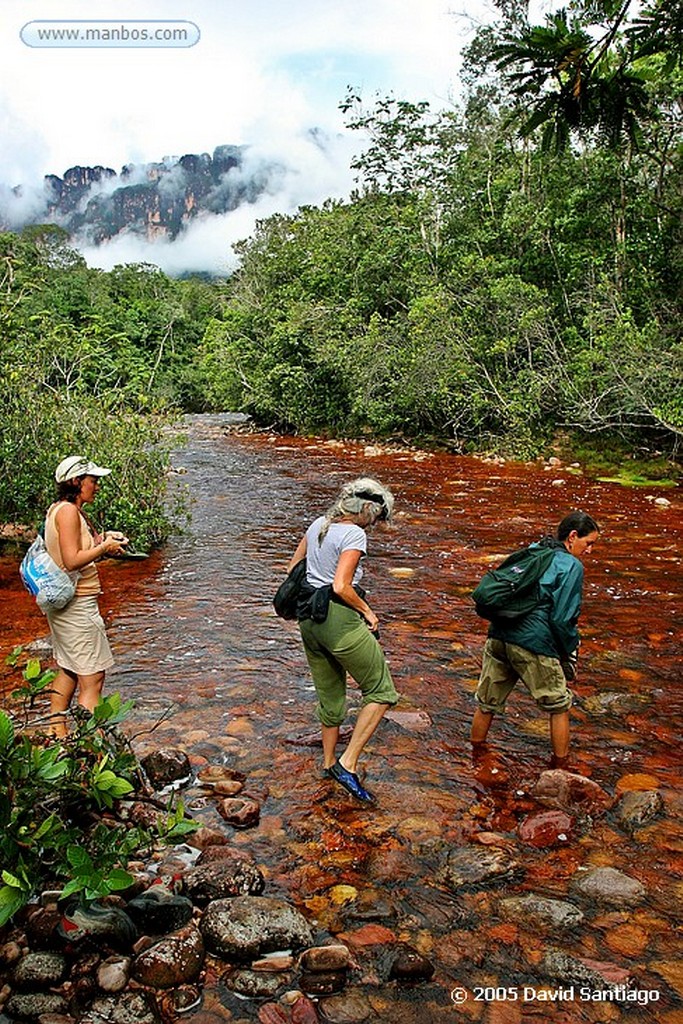 Parque Nacional Canaima
Subida a la base del Salto del Angel
Bolivar