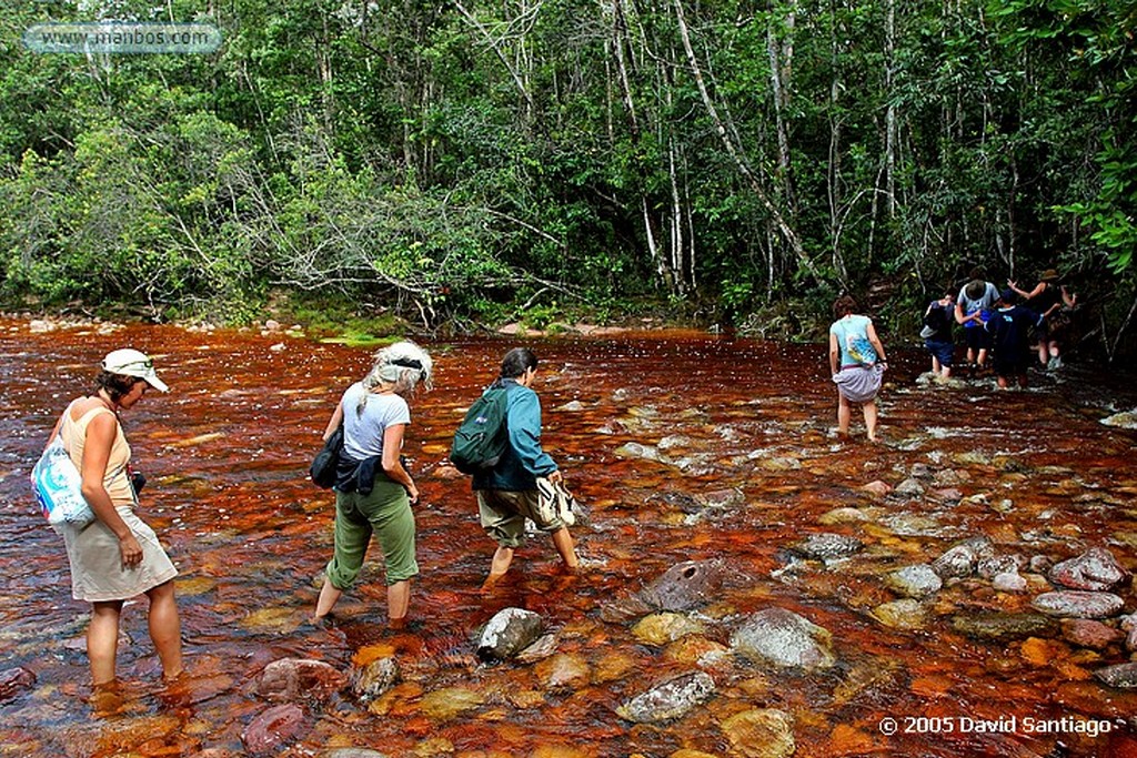 Parque Nacional Canaima
Subida a la base del Salto del Angel
Bolivar