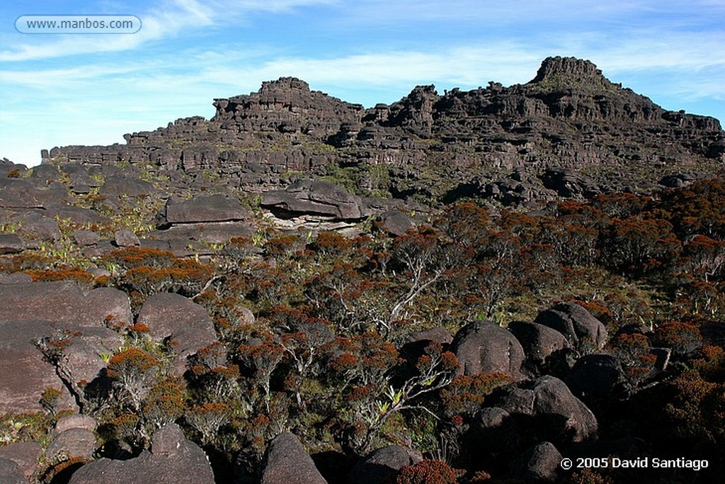 Parque Nacional Canaima
Tepui Roraima
Bolivar