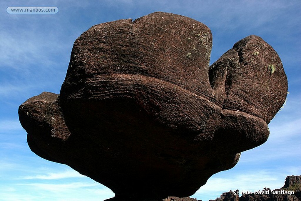 Parque Nacional Canaima
Tepui Roraima
Bolivar