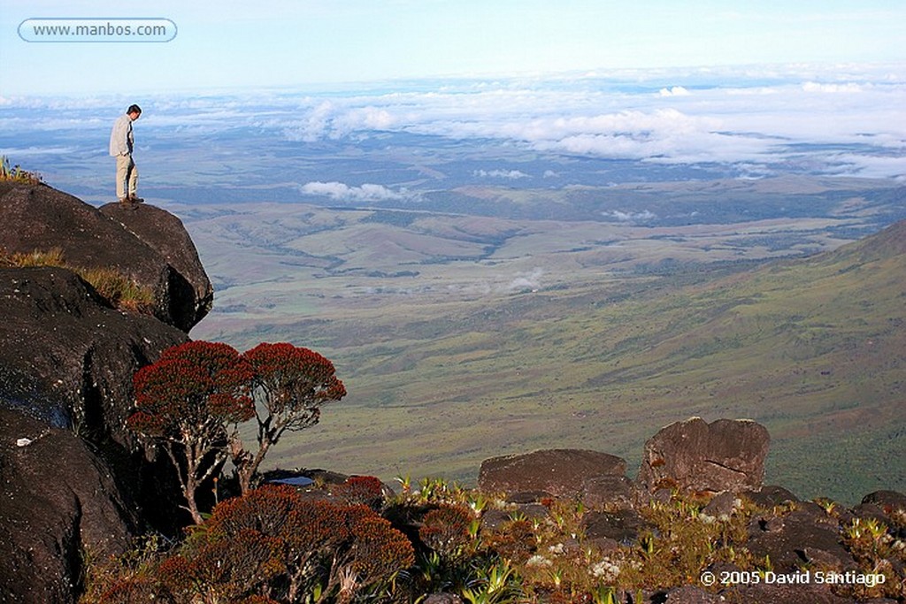 Parque Nacional Canaima
Tepui Roraima
Bolivar