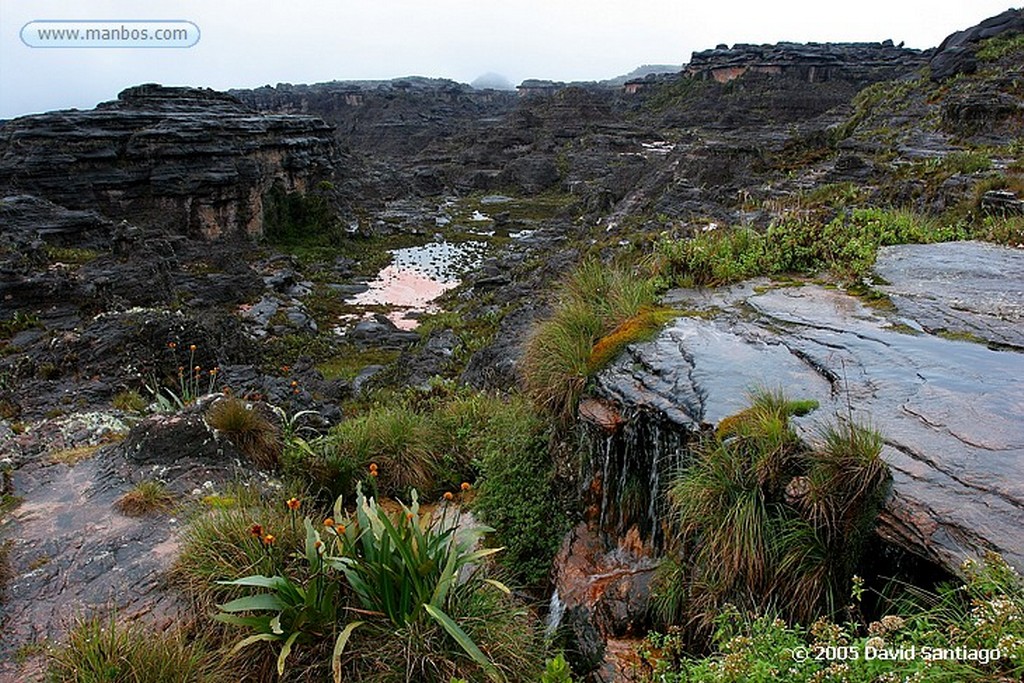 Parque Nacional Canaima
Tepui Roraima
Bolivar