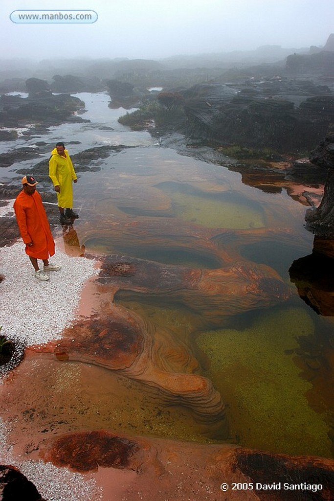 Parque Nacional Canaima
Tepui Roraima
Bolivar